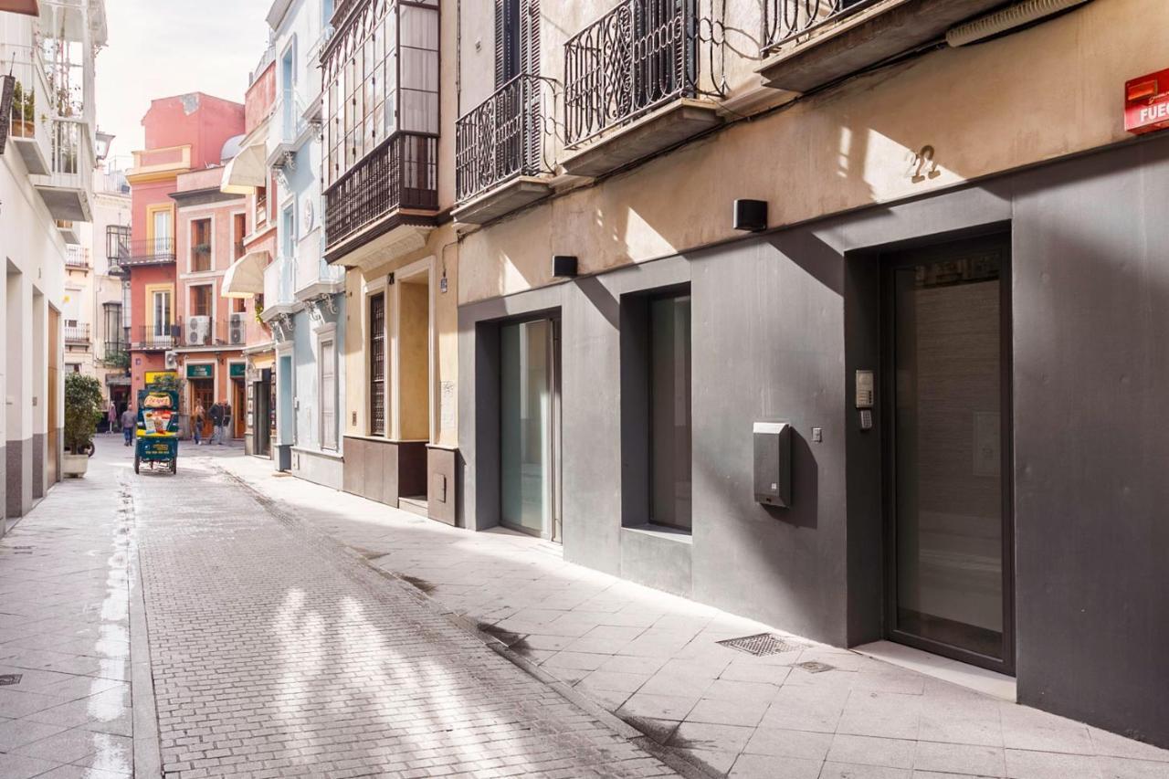 Apartamentos Catedral Sevilla Dış mekan fotoğraf
